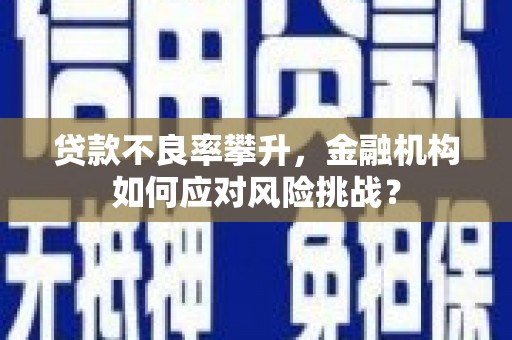 达州贷款不良率攀升，金融机构如何应对风险挑战？