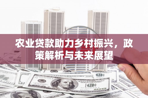 达州农业贷款助力乡村振兴，政策解析与未来展望