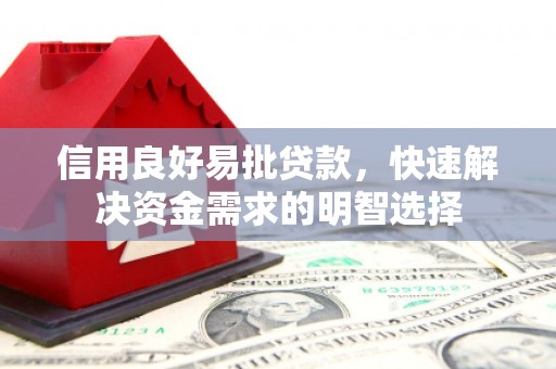 达州信用良好易批贷款，快速解决资金需求的明智选择