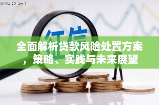 达州全面解析贷款风险处置方案，策略、实践与未来展望