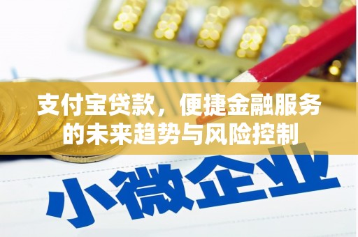 达州支付宝贷款，便捷金融服务的未来趋势与风险控制