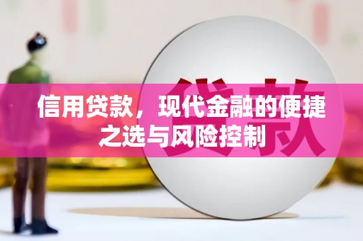 达州信用贷款，现代金融的便捷之选与风险控制