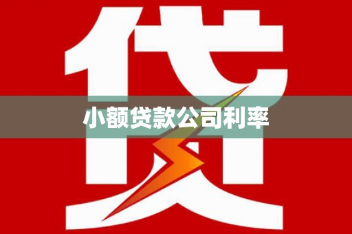 达州小额贷款公司利率