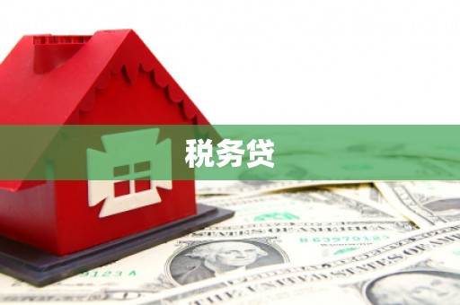 达州税务贷