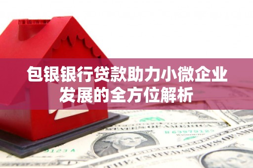 达州包银银行贷款助力小微企业发展的全方位解析
