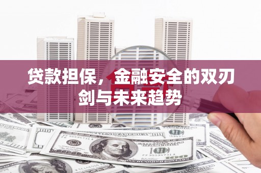达州贷款担保，金融安全的双刃剑与未来趋势