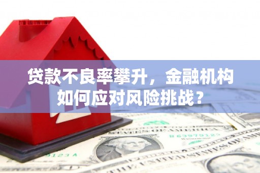 达州贷款不良率攀升，金融机构如何应对风险挑战？