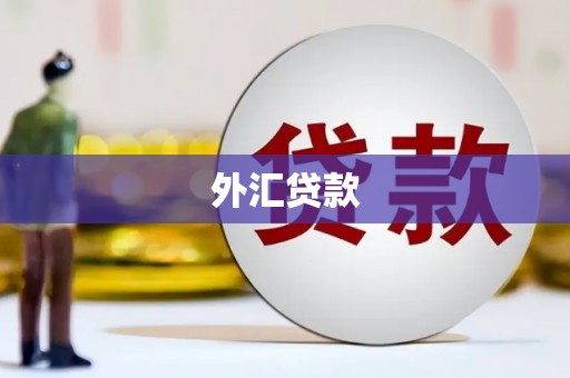 达州外汇贷款