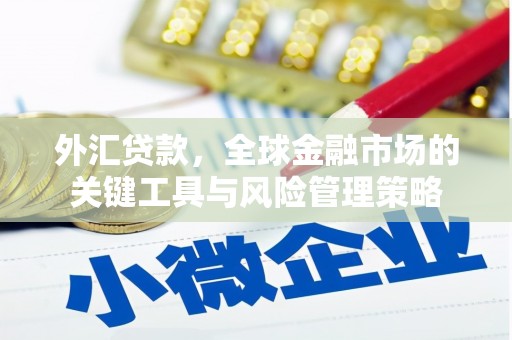 达州外汇贷款，全球金融市场的关键工具与风险管理策略