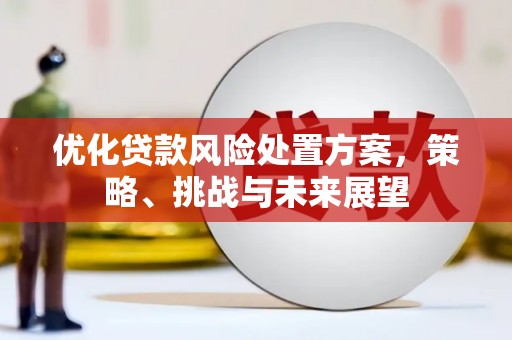 达州优化贷款风险处置方案，策略、挑战与未来展望