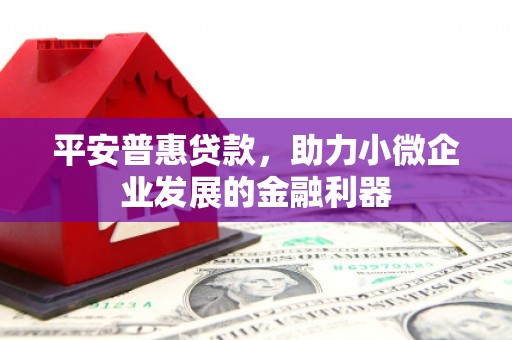 达州平安普惠贷款，助力小微企业发展的金融利器
