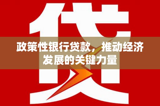 达州政策性银行贷款，推动经济发展的关键力量