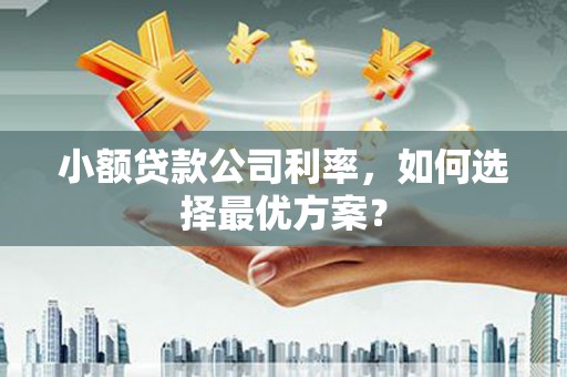 达州小额贷款公司利率，如何选择最优方案？