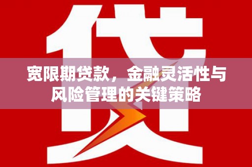 达州宽限期贷款，金融灵活性与风险管理的关键策略
