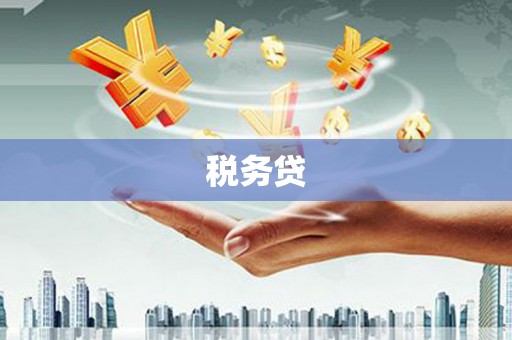达州税务贷