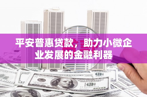达州平安普惠贷款，助力小微企业发展的金融利器