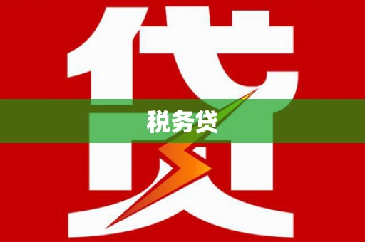 达州税务贷