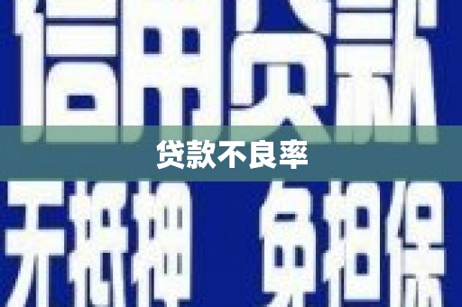 达州贷款不良率