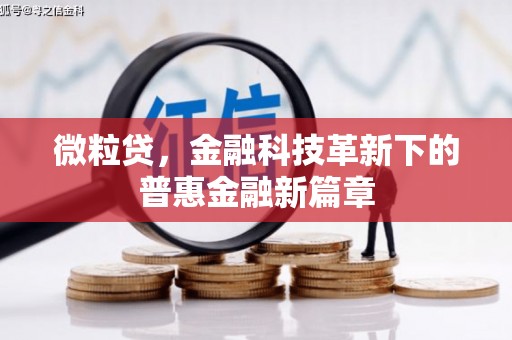 达州微粒贷，金融科技革新下的普惠金融新篇章