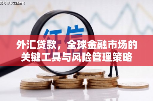 达州外汇贷款，全球金融市场的关键工具与风险管理策略