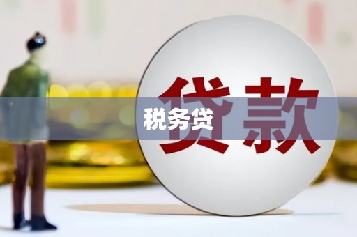 达州税务贷