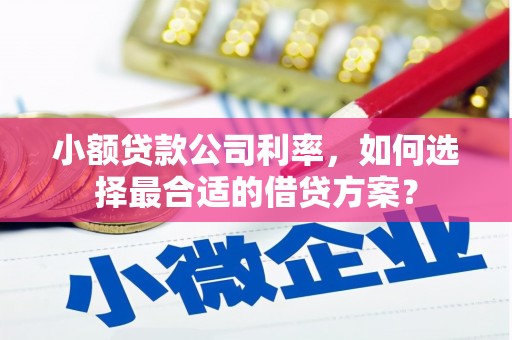 达州小额贷款公司利率，如何选择最合适的借贷方案？