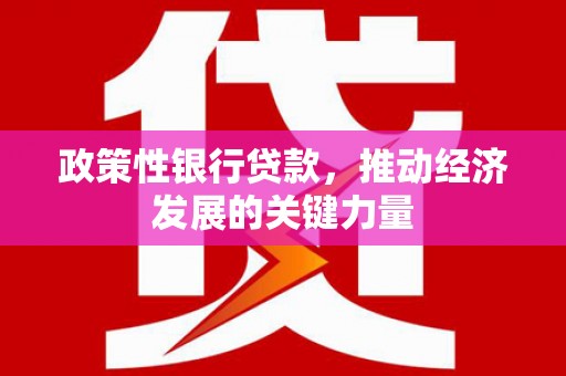 达州政策性银行贷款，推动经济发展的关键力量