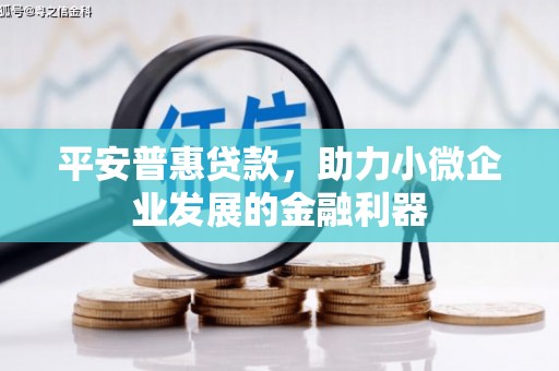 达州平安普惠贷款，助力小微企业发展的金融利器