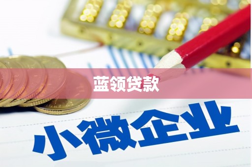 达州蓝领贷款