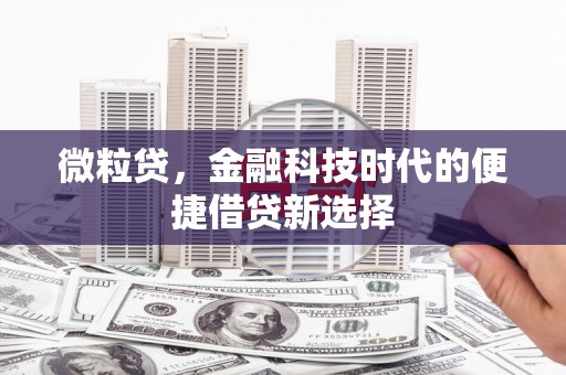 达州微粒贷，金融科技时代的便捷借贷新选择