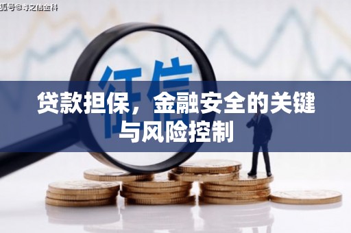 达州贷款担保，金融安全的关键与风险控制