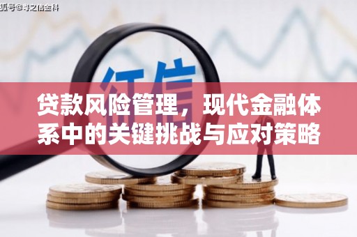 达州贷款风险管理，现代金融体系中的关键挑战与应对策略